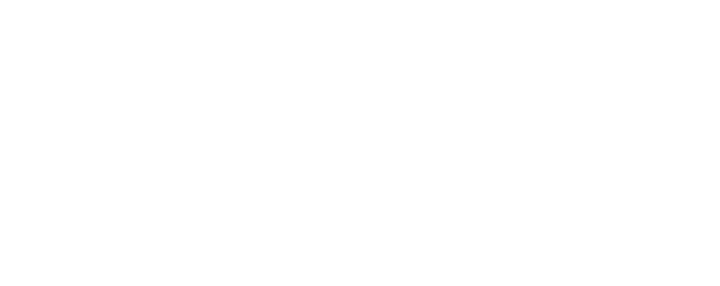 Professional Artificial Intelligence Institute